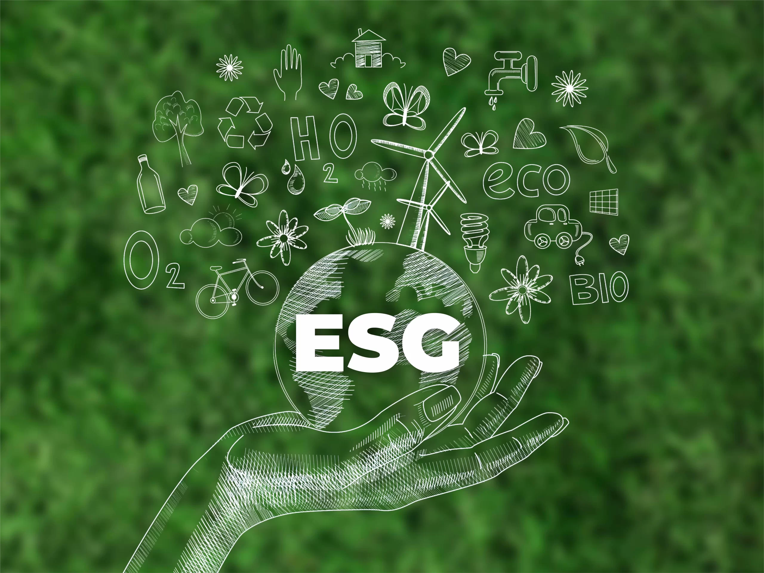 洋楽 ESG ESG - ESG (12